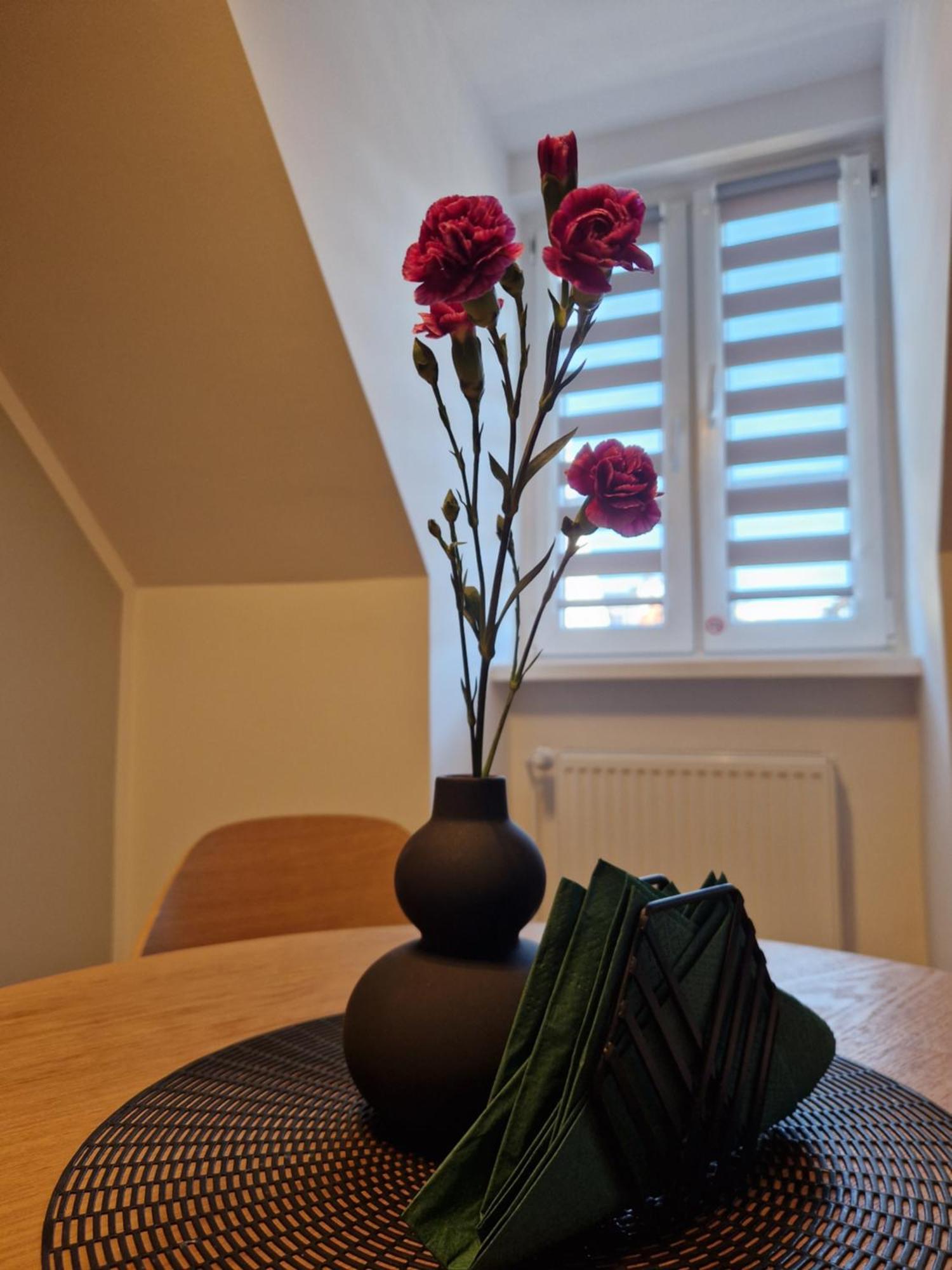 Apartament Rabianska 14 Stary Toruń Buitenkant foto